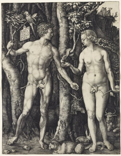 Adam und Eva von Albrecht Dürer