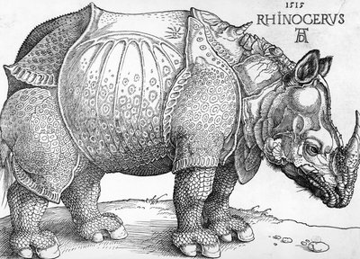 Nashorn von Albrecht Dürer