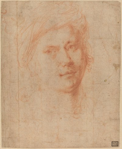 Kopf eines Jugendlichen von Alessandro Allori