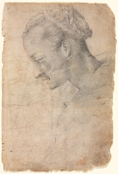 Profil eines Frauenkopfes (recto) von Alessandro Casolani