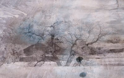 Blauer Nebel von Alex Caminker