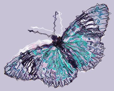 Schmetterling 7, 2020 von Alex Caminker