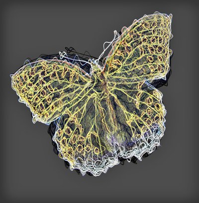 Schmetterling 9 von Alex Caminker