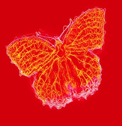 Schmetterling III von Alex Caminker