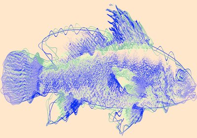 Fisch IV von Alex Caminker