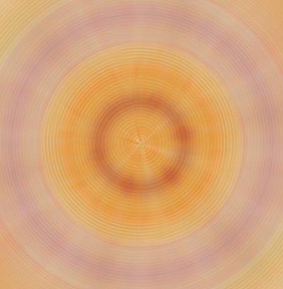 Platten, 2019 von Alex Caminker