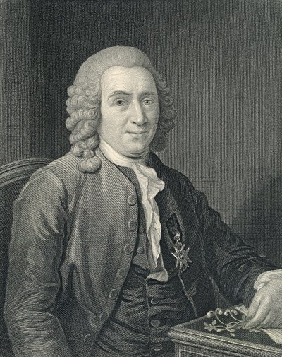 Porträt von Carolus Linnaeus von Alexander (after) Roslin