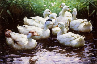 An Land (Enten) von Alexander Koester