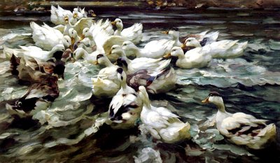Entenversammlung von Alexander Koester