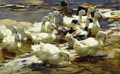 Enten im Teich von Alexander Koester