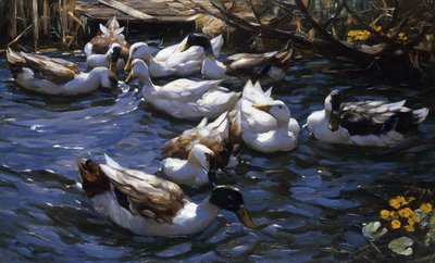 Enten im Schilf unter den Zweigen von Alexander Koester