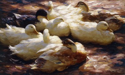 Enten am Flussufer von Alexander Koester