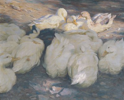 In der Abendsonne von Alexander Koester