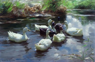 Enten am Teich von Alexander Köster