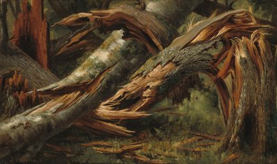 Gefallener Baum von Alexandre Calame