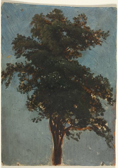 Baumstudie von Alexandre Calame