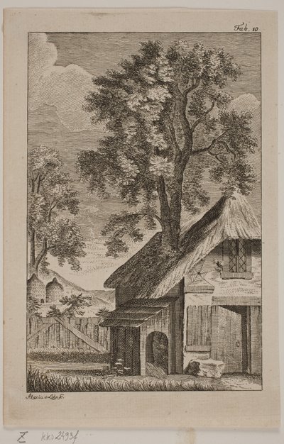 Die Spinne und die Biene von Alexia von Lode