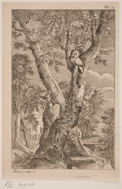 Die Eule und die Nachtigall von Alexia von Lode