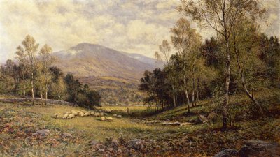 In der Nähe von Betws-y-Coed von Alfred Augustus Jnr Glendenning