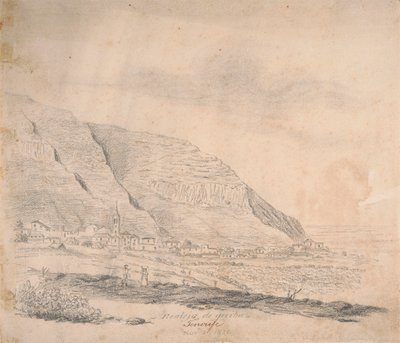 Realejo de arriba, Teneriffa von Alfred Diston