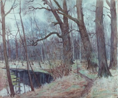 Leipziger Aue von Alfred Frank