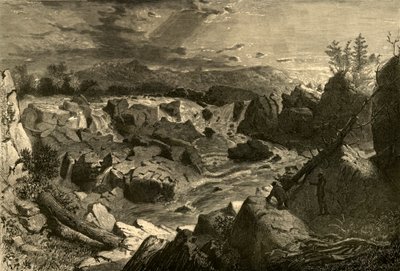 Große Wasserfälle des Potomac, 1874 von Alfred Harral