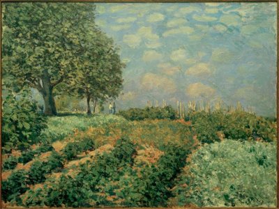 Die Felder von Alfred Sisley