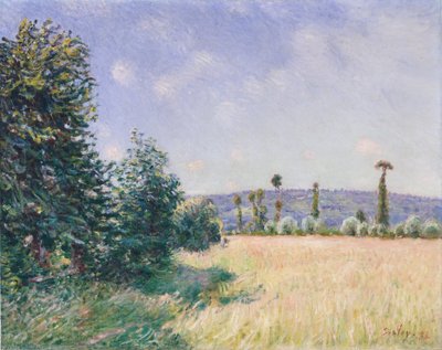 Sahurs Wiesen im Morgensonnenschein, 1894 von Alfred Sisley