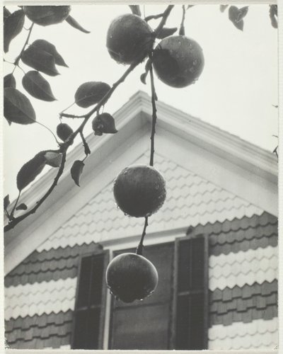 Giebel und Äpfel, 1922 von Alfred Stieglitz