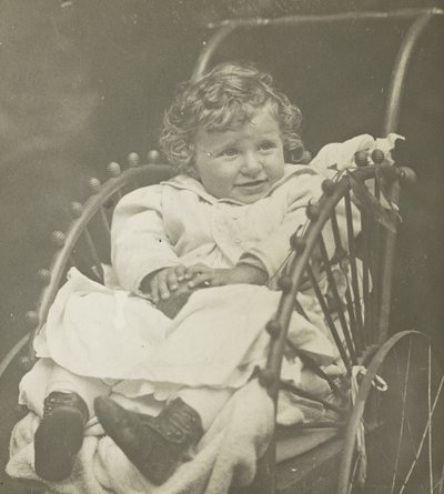Ohne Titel (Howard Schubart in der Kutsche) von Alfred Stieglitz