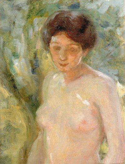 Im Sonnenlicht von Alice Pike Barney