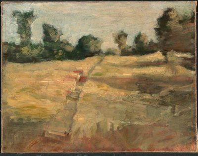 Das Feld von Alice Pike Barney