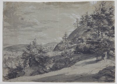 Hügellandschaft von Allaert van Everdingen