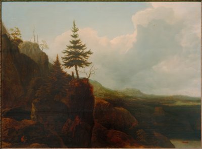 Gebirgslandschaft mit Tanne von Allart van Everdingen