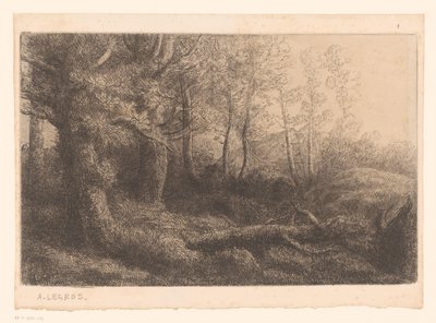 Waldansicht von Alphonse Legros (attributed to)