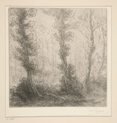 Der kleine See von Alphonse Legros