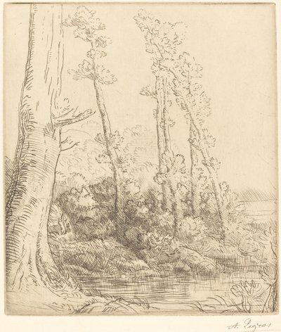 Kleiner Teich von Alphonse Legros