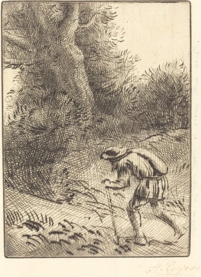 Der kleine ewige Jude von Alphonse Legros