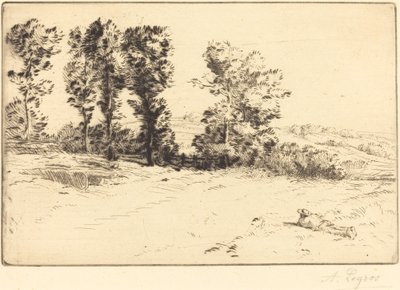 Wiese im Sonnenschein Le pré ensoleillé von Alphonse Legros