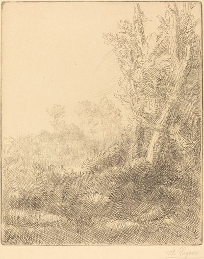 Altes Dorf Ville vieille von Alphonse Legros