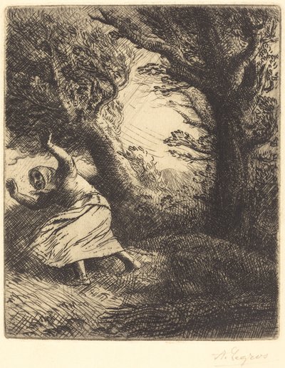 Donner von Alphonse Legros
