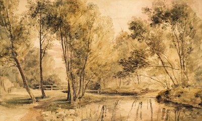 Studie von Bäumen von Amelia Long