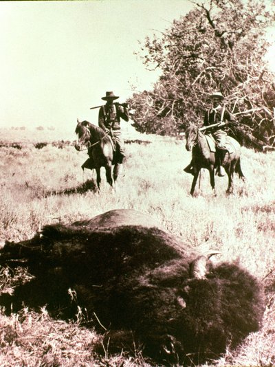 Amerikanische Bisonjäger von American Photographer