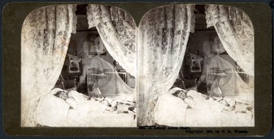 Ein einsames kleines Herz, 1901 (Stereograph) von American School