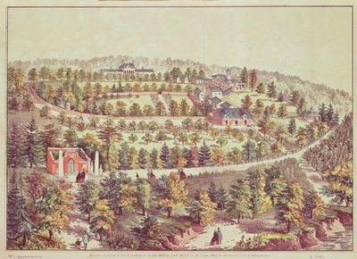 Vogelperspektive von Mount Vernon, 1859 von American School