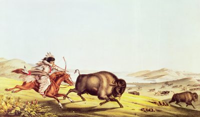 Büffeljagd von American School