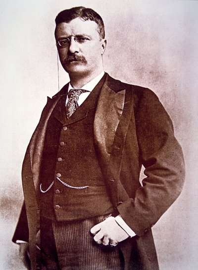 Präsident Theodore Roosevelt (Lithografie) von American School