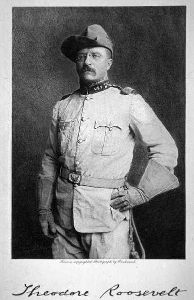 Theodore Roosevelt von American School