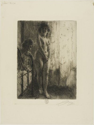 Eine dunkle Ecke von Anders Leonard Zorn