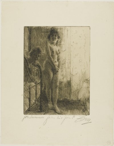 Eine dunkle Ecke von Anders Leonard Zorn